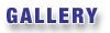 Jak to u n�s vypad� ...