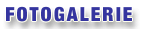Jak to u n�s vypad� ...